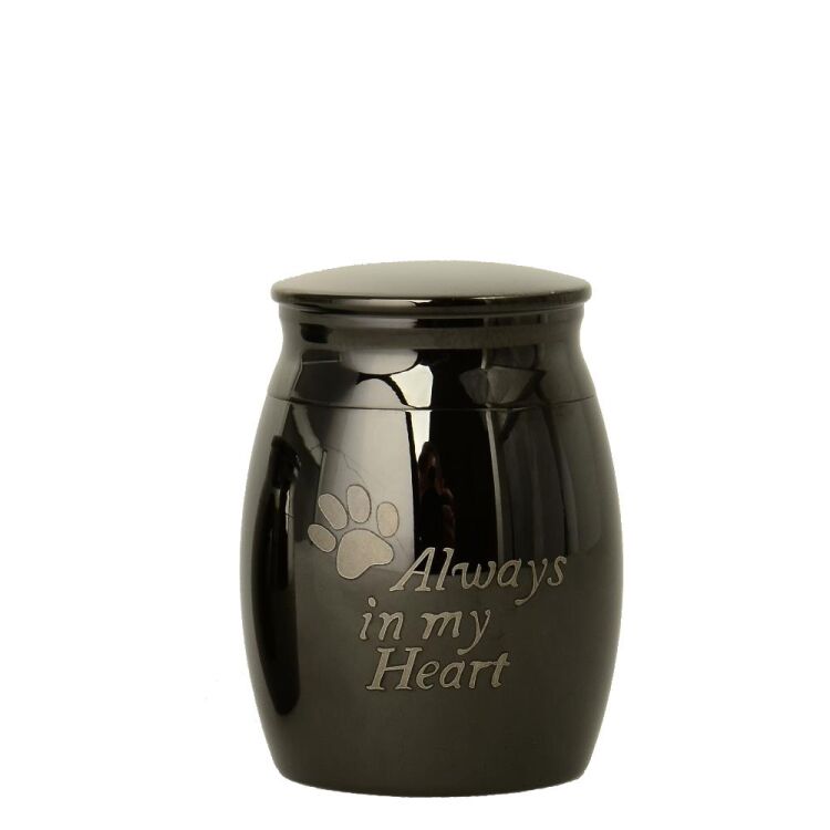 Urne mittel groß antrazitfarben aus Edelstahl mit einer Pfote sowie dem Spruch "Always in my Heart"  MUM6 A