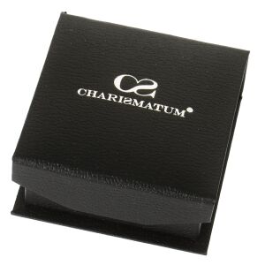 Charismatum® Asche Anhänger aus Titan Zylinder klein Farbe rosegold poliert mit einem Ring in schwarz T 17 Rose
