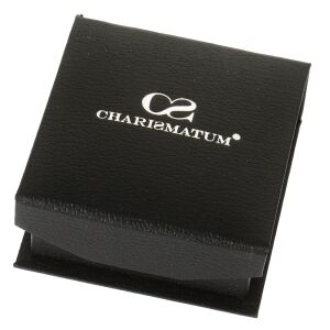 Charismatum® Limited Edition Asche Anhänger aus Titan Farbe rosegold kleine Träne poliert T 31 Rose